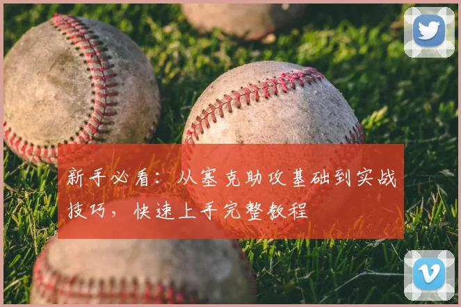 新手必看：从塞克助攻基础到实战技巧，快速上手完整教程